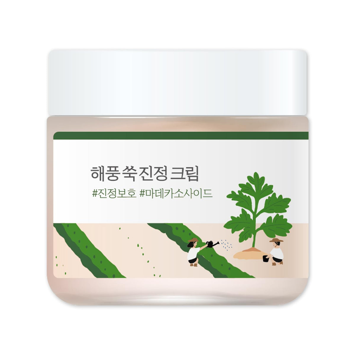 ROUND LAB Crème apaisante à l'armois 80ml